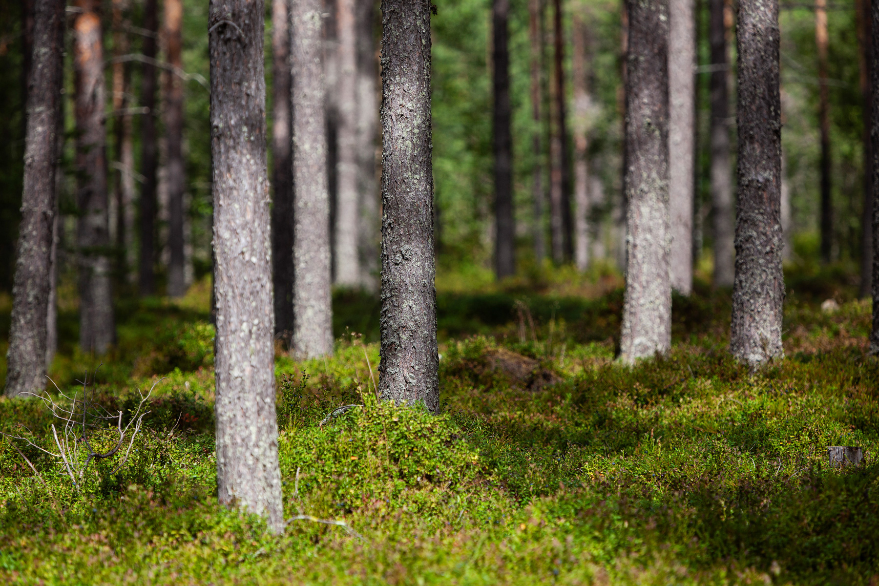 Työntekijämme sinua varten